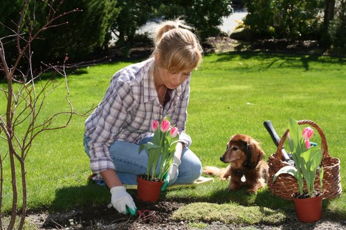 Inspector reviewing garden work and taking notes during investigation