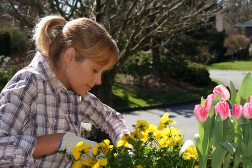 A woman with blonde hair tied back, wearing a plaid shirt and gardening gloves, is tending to a flower bed in a suburban garden. The garden features a lush, green lawn bordered by vibrant yellow pansies and tall pink tulips with green foliage. Behind her, a paved driveway runs alongside the garden, with mature trees and shrubs providing background greenery. The scene is illuminated by natural sunlight, indicating a bright, clear day in late spring or early summer. The arrangement of the garden elements showcases a well-maintained outdoor space typical of residential gardens in the Elephant and Castle area, highlighting the importance of outdoor care and landscaping services provided by companies like Gardening Services Elephant and Castle.